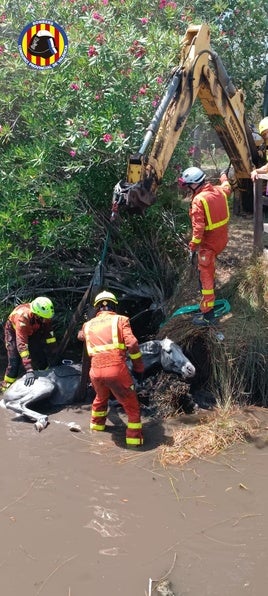 Los bomberos sacan al caballo de la marja.