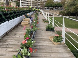 Renovación de los maceteros y plantas del puente de las Flores que se realizó en 2022.