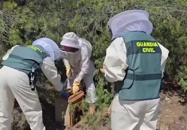 Once investigados por vender miel procedente de China contaminada con pesticidas