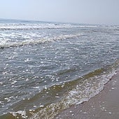 Agua con un tono verde tras la apertura de compuertas en la gola de El Perellonet.
