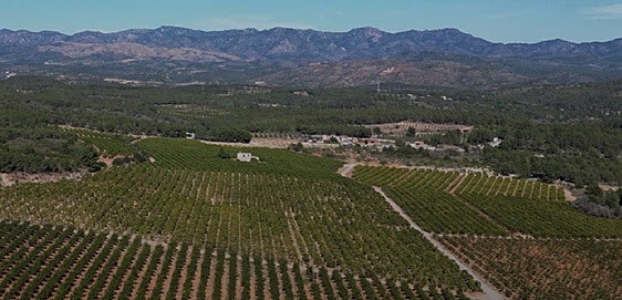 Asociaciones vecinales y ecologistas presentan cientos de alegaciones contra la nueva planta solar proyectada junto a la Sierra Calderona