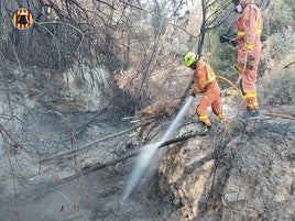 Brigadas forestales del Consorcio Provincial de Bomberos refrescando los puntos calientes.