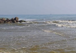 Agua de la playa de El Perellonet con un tono verdoso el sábado pasado.