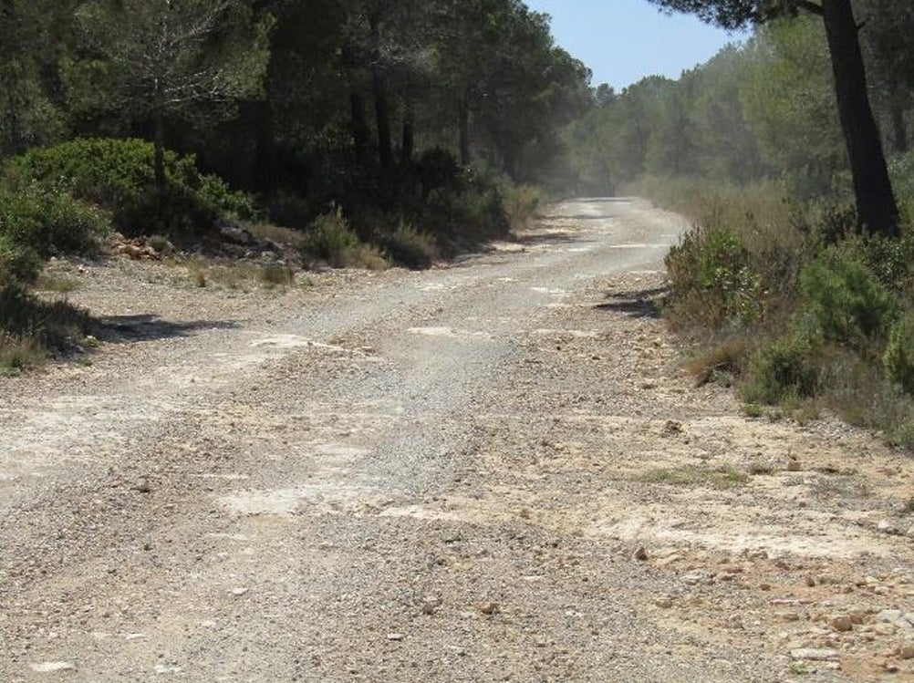 Una de las pistas forestales en las que se actuará.