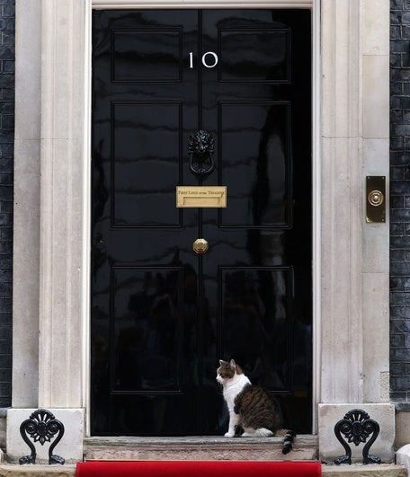 Larry, el gato que habita en el 10 de Downing Street, la residencia del primer ministro británico.