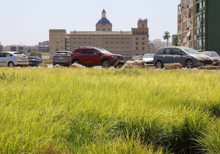 Coches aparcados en un terreno catalogado como huerta en la calle Tavernes Blanques.