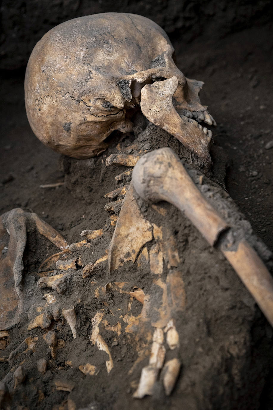 Descubren en Pompeya el esqueleto de dos víctimas de la erupción del Vesubio