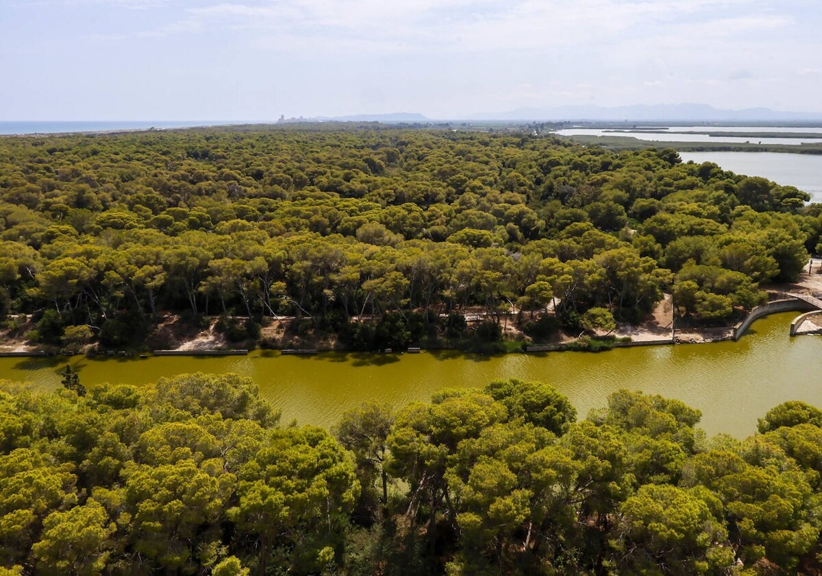 Costas enfría el proyecto de arrecifes de Catalá y apuesta por el aporte de arena 