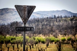 Imagen de la zona de Bejís después del incendio.