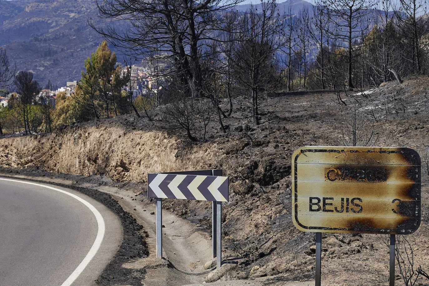 El PSPV exige al Consell que reactive los planes de recuperación de zonas afectadas por el incendio de Bejís 