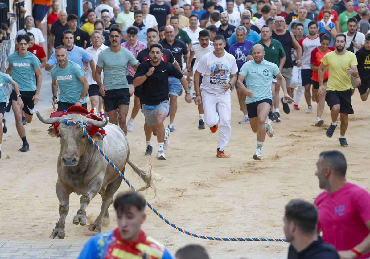 El Torico toma las calles de Chiva 