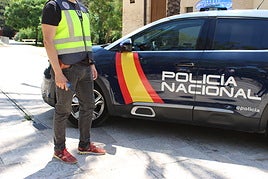 La Policía detiene en Valencia a un ladrón silencioso que robaba en el mismo modelo de coche