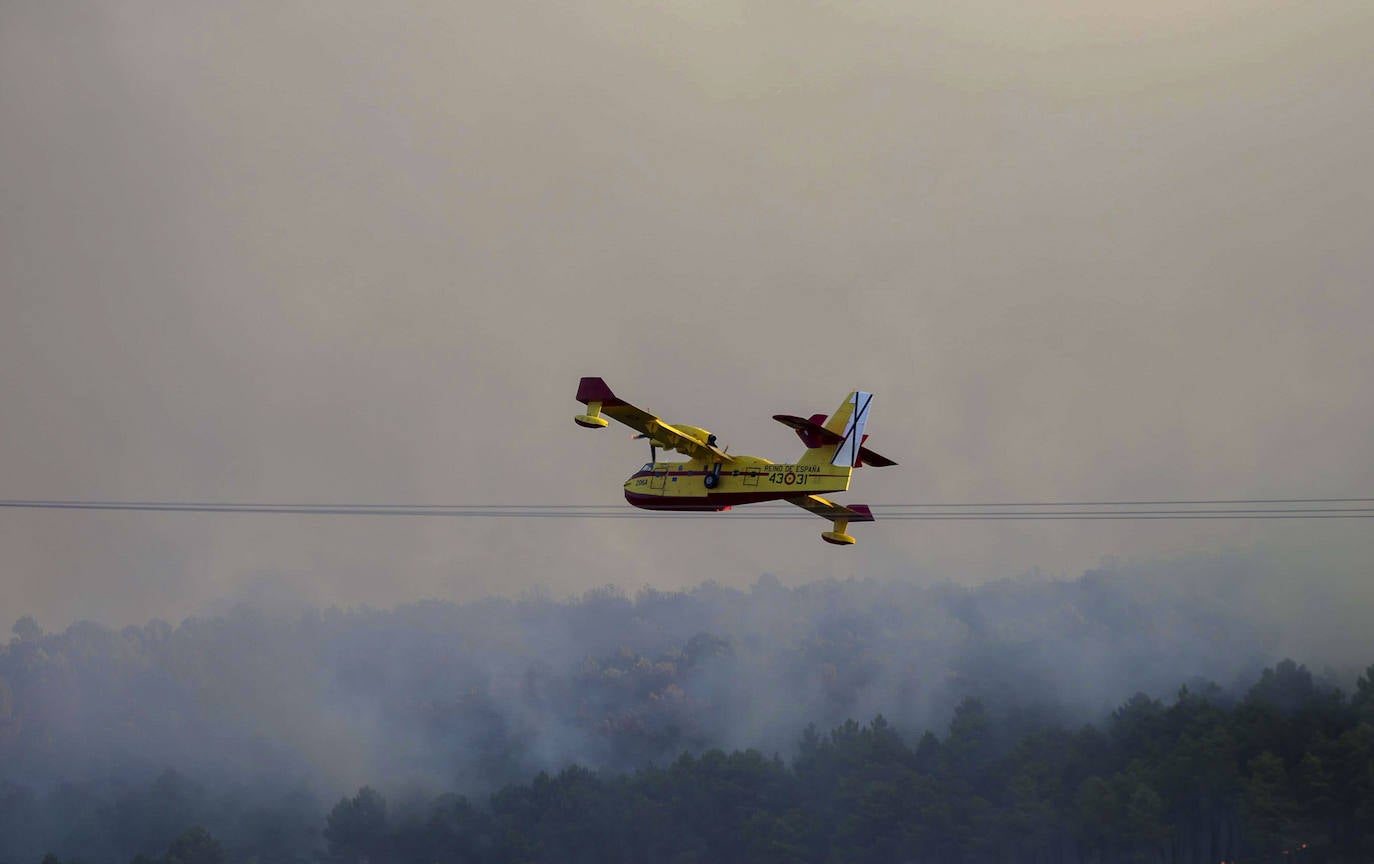 Fotos del incendio forestal de Trabazos, en Zamora