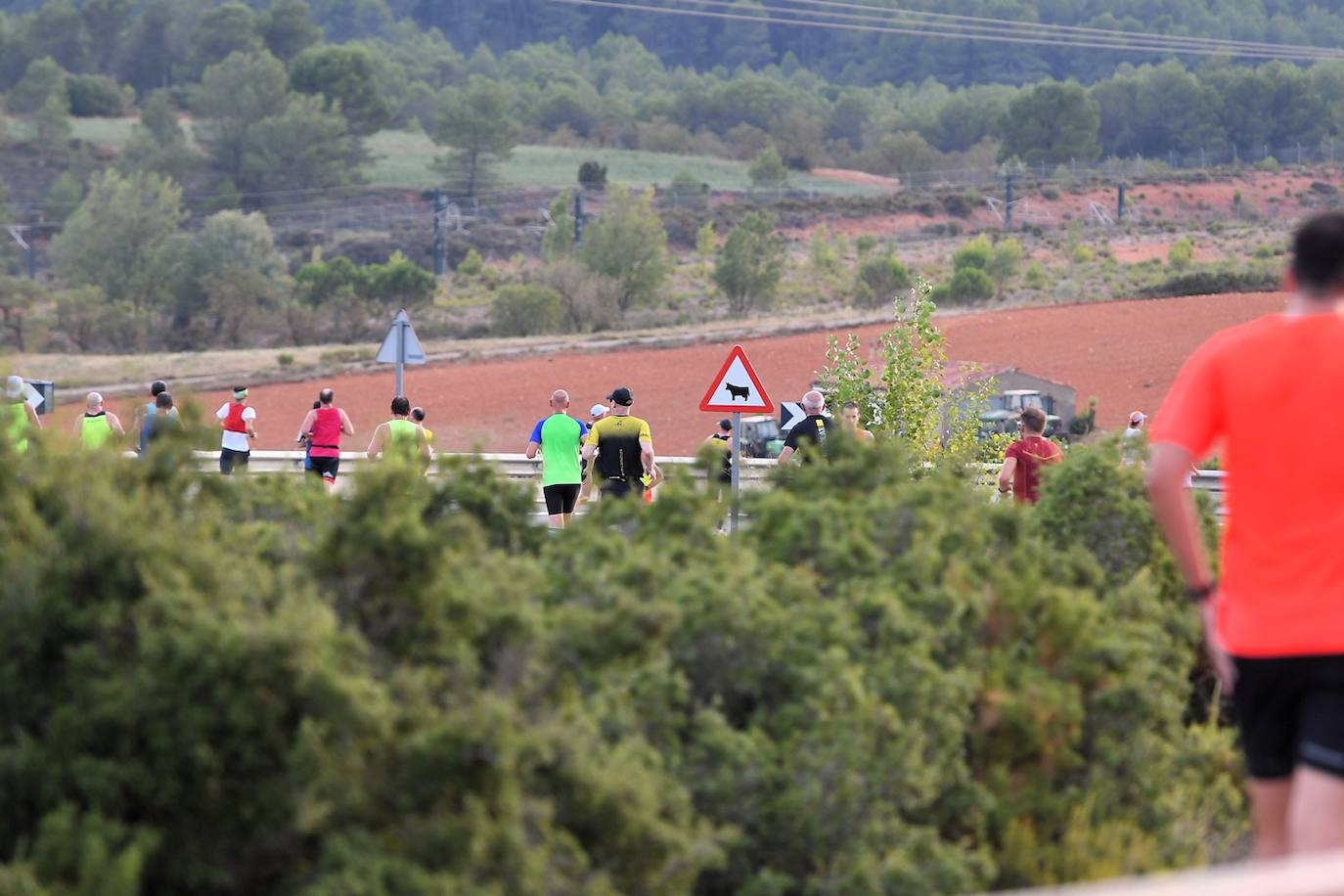 Fotos: las mejores imágenes del Gran Fondo de Siete Aguas 2024