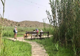 Visitantes en el Marjal de Pego-Oliva.