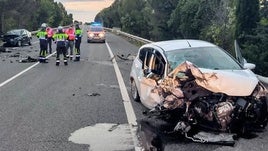 Accidente de tráfico causado por un animal.