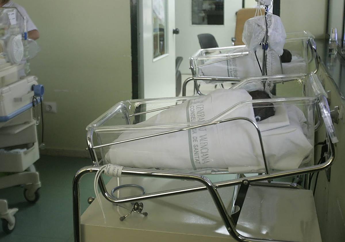 La Comunitat registró hasta julio 16.896 nacimientos.