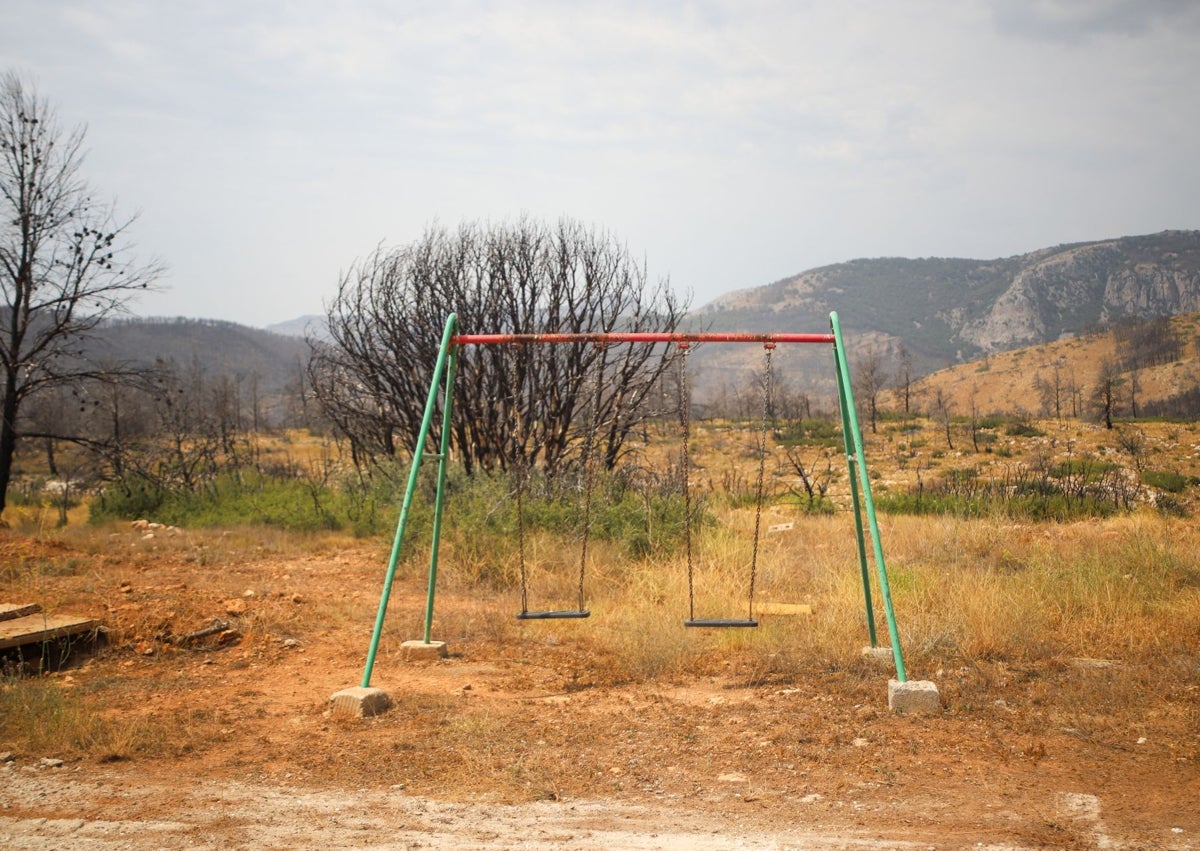 Imagen secundaria 1 - Un oasis verde en el camping de Bejís, entre tanta desolación.