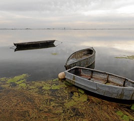 Varias barcas, en el lago de la Albufera.