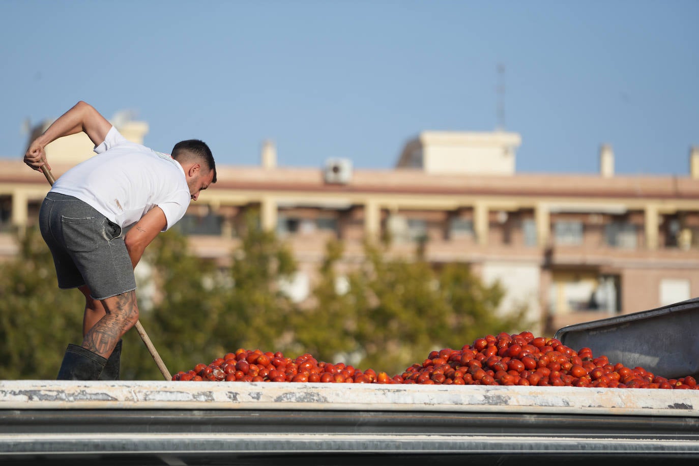 FOTOS | Cargan camiones con 150.000 kilos de tomates para la Tomatina de Buñol 2024