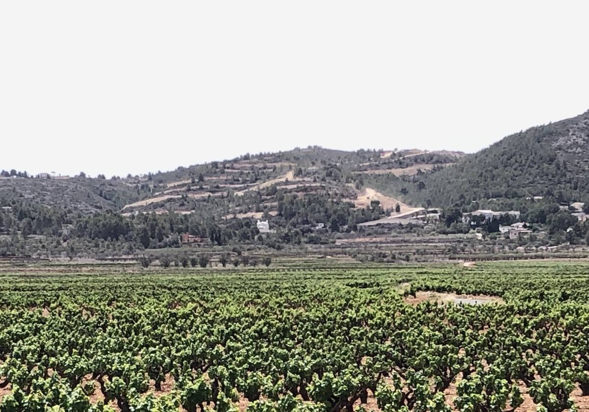 Salvem la Vall logra más de 770 alegaciones para frenar el PAI de Llíber de 488 casas 