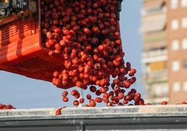 Carga en camiones para la Tomatina de Buñol 2024.