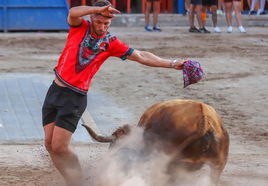 Espectacular quiebro a una vaca de Hermanos Bellés en Vall d'Uixó