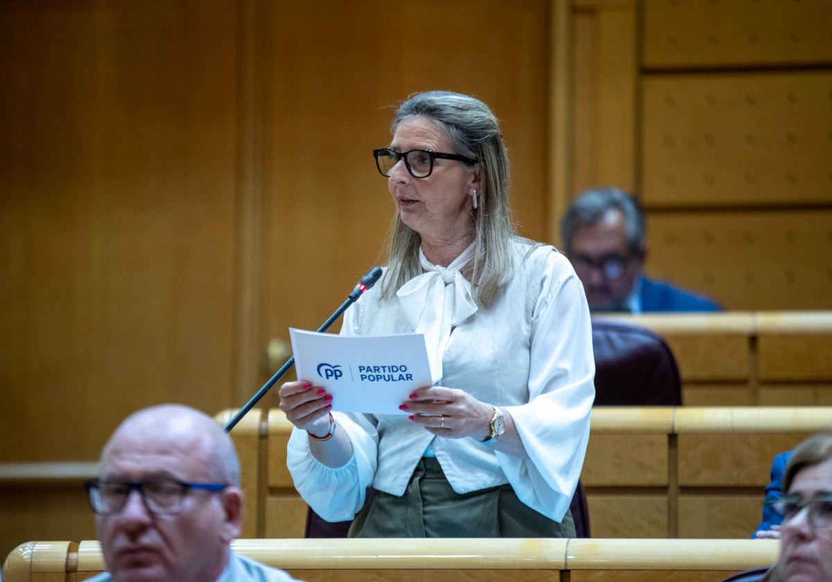 El PP reclama en el Senado mayor contundencia en la normativa para importaciones de cítricos