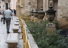 Vista general del antiguo jardín, con cantidad de malas hierbas abriéndose paso.