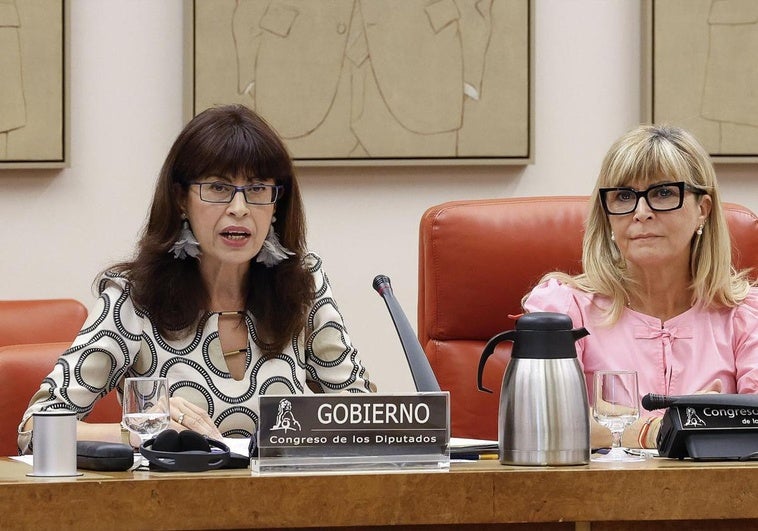 Ana Redondo, durante su intervención en la comisión del Congreso.