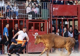 Un festejo taurino.