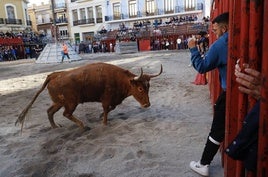 Un festejo taurino celebrado en Cheste.