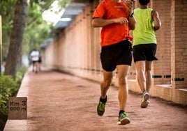 El carril Circuit 5K Jardí del Turia, el preferido por los valencianos.