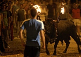 Un joven junto a un toro embolado en Vila-real.