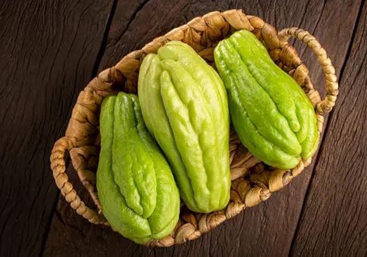 Chayote en una imagen de archivo.