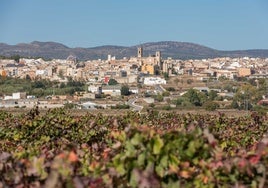 Vistas de Requena desde sus viñedos.