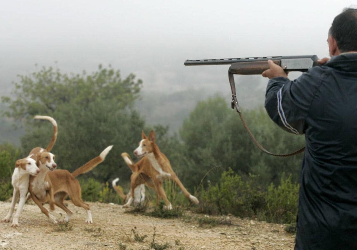 La Guardia Civil incauta dos armas por varias infracciones en el inicio de la temporada de caza en la Safor