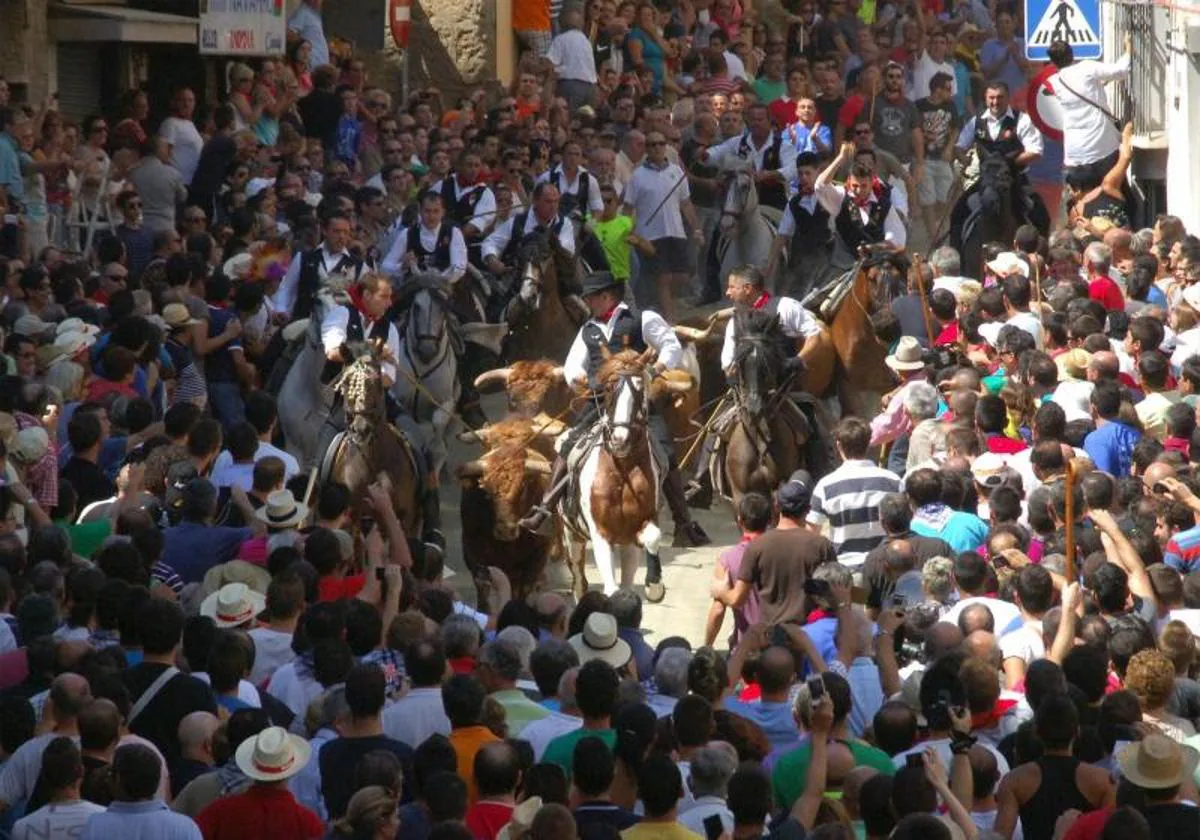 El jinete Fran Zarzoso sufre una caída en la Entrada de Toros y Caballos de Segorbe 