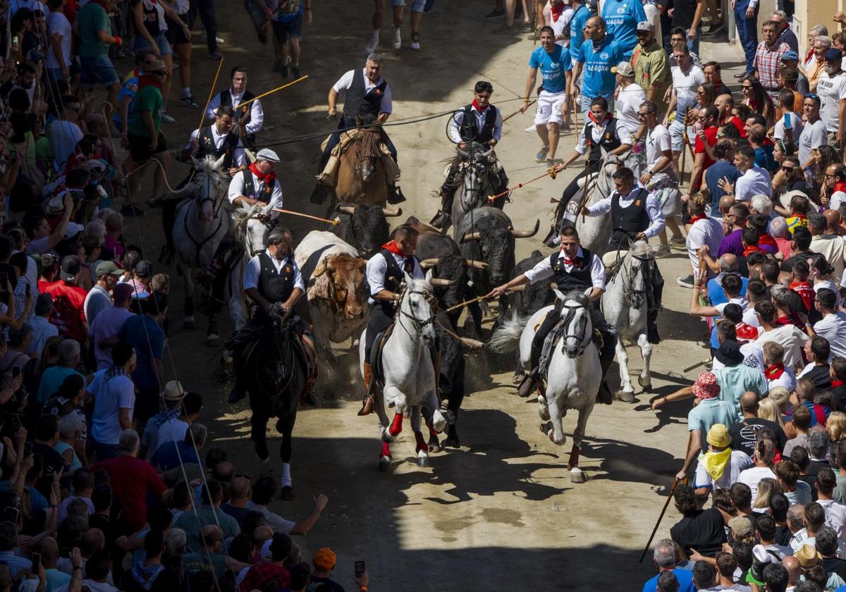 Muere el caballo del que cayó un jinete en la Entrada de Toros y Caballos de Segorbe 