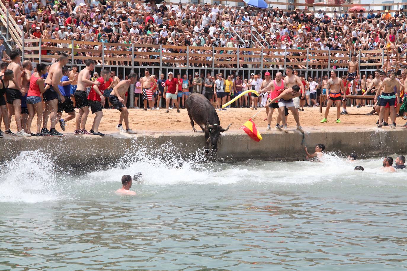 El PP de Dénia aboga por revitalizar la fiesta de bous a la mar 