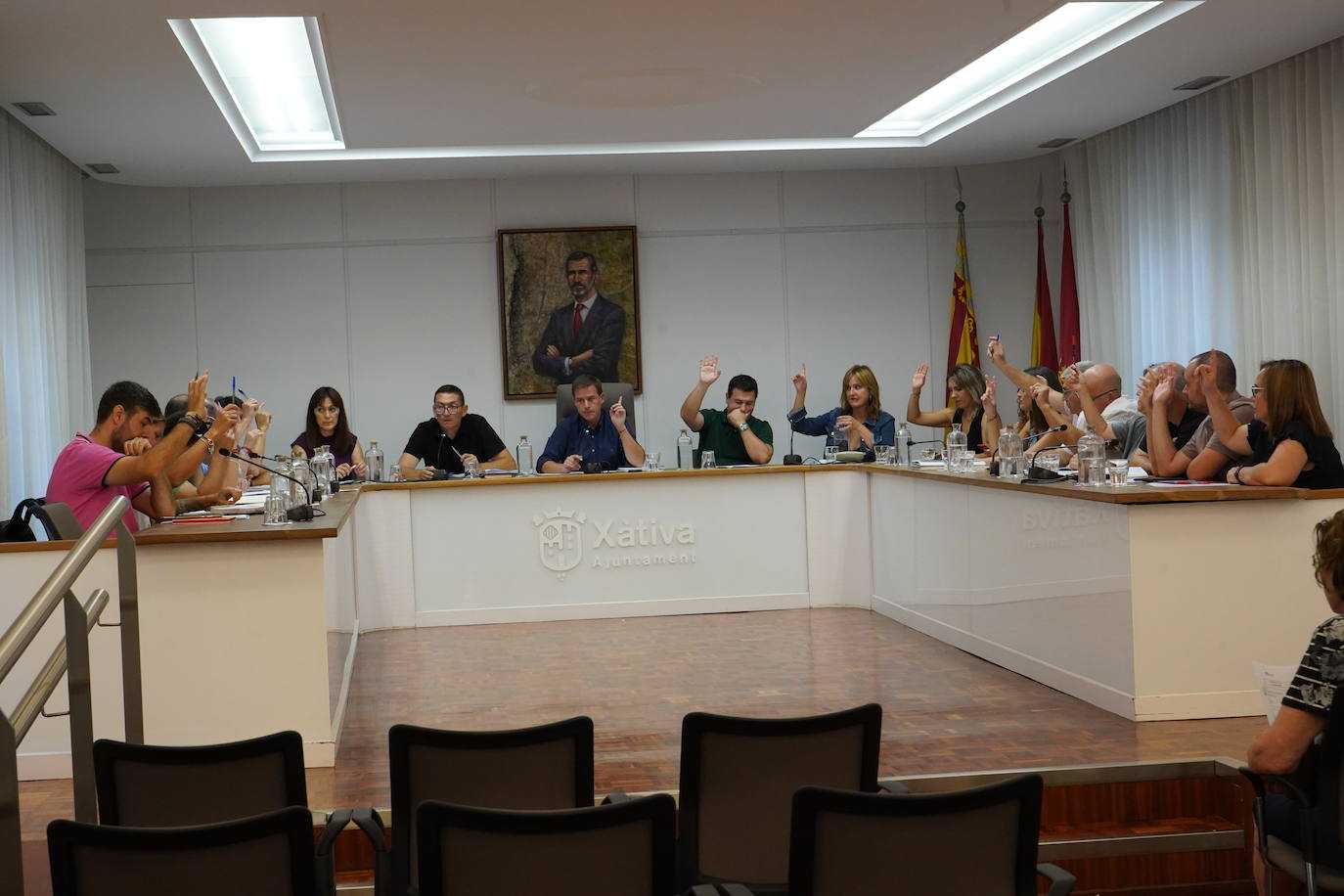 Imagen del pleno de agosto.