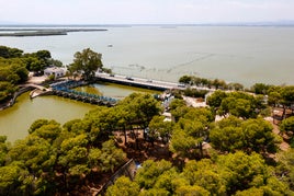 Parque natural de la Albufera.