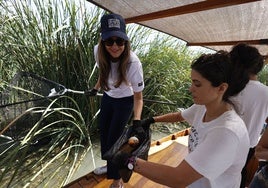 Dos voluntarias extraen residuos plásticos del lago de la Albufera.