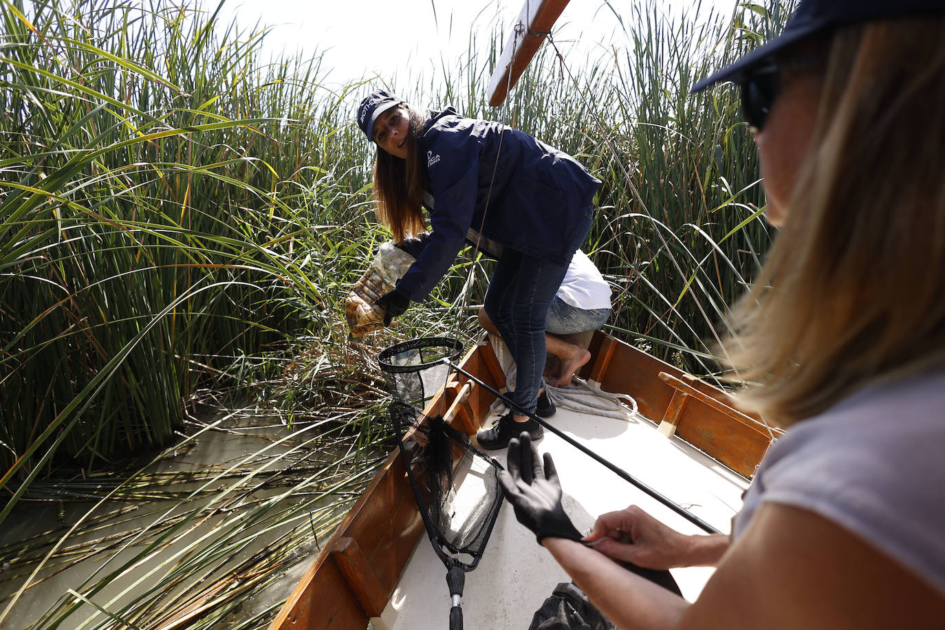 Comienza la limpieza en la Albufera para concienciar en el cuidado del planeta