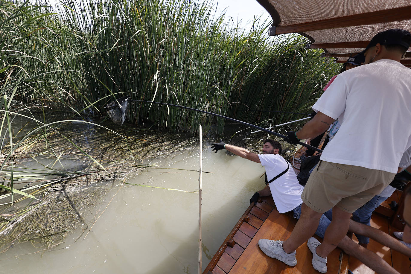 Comienza la limpieza en la Albufera para concienciar en el cuidado del planeta