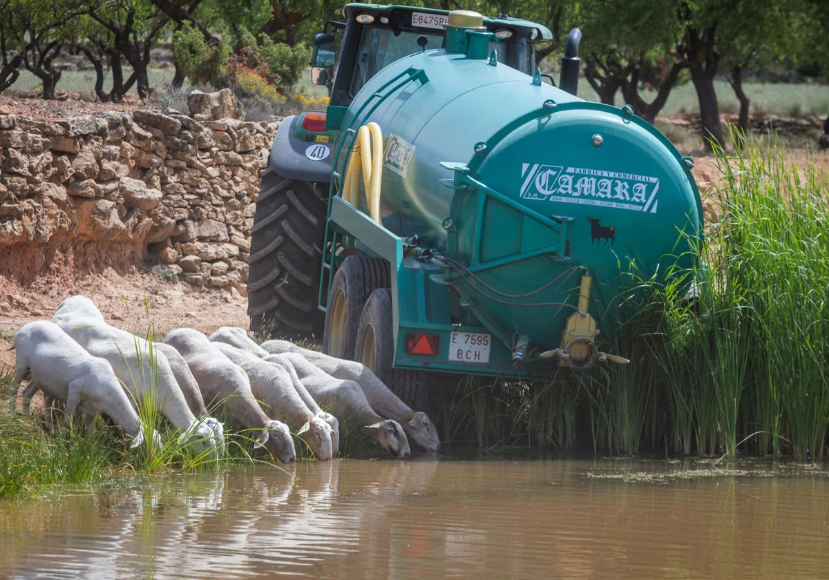 Las ayudas a los agricultores irán de 200 a 4.500 euros en función de las hectáreas y cabezas de ganado 