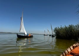 Barcos de vela latina, durante una exhibición.