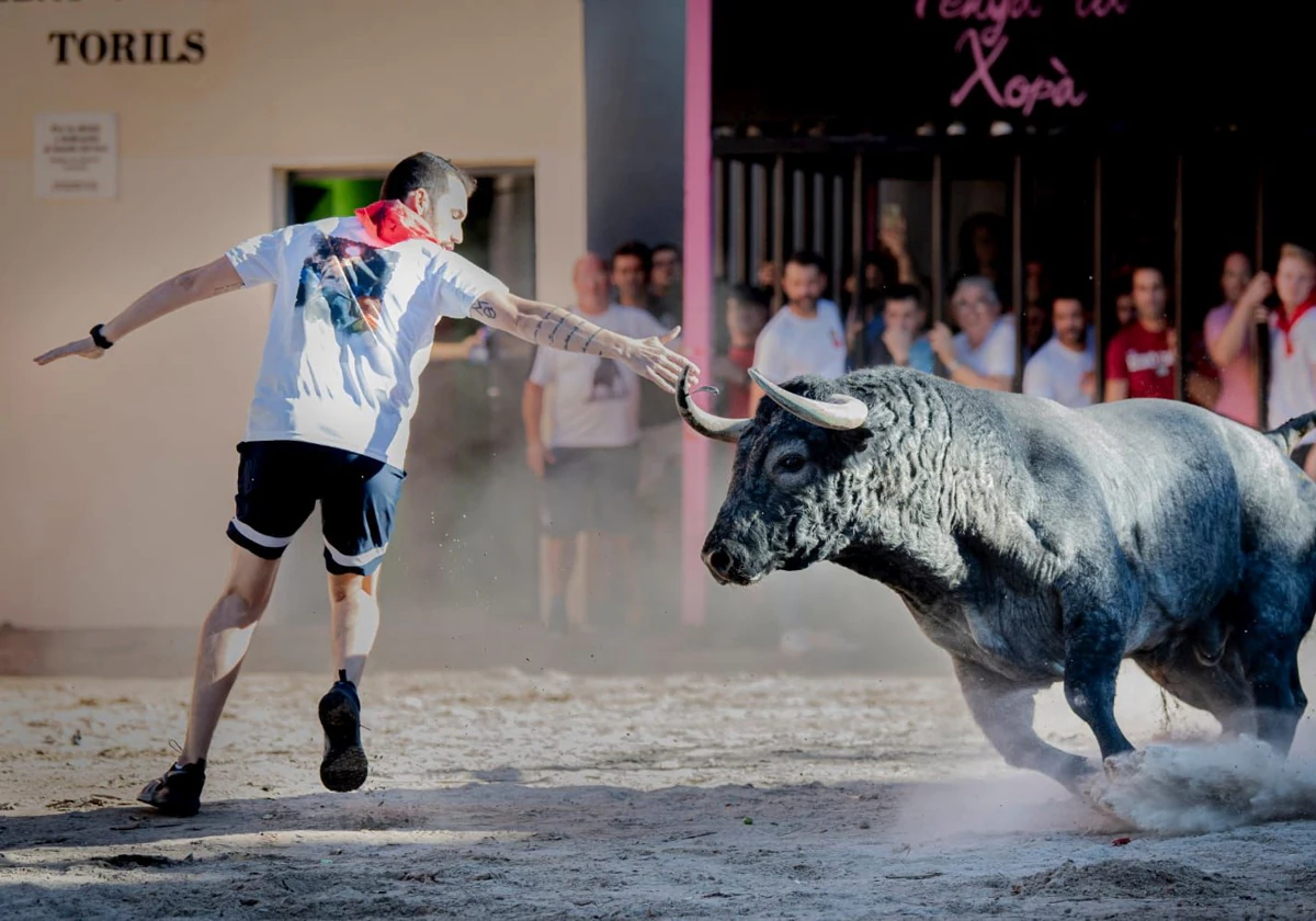 Almenara, apuesta total por los toros guapos 