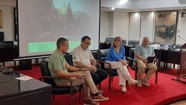 Charla en el Salón de Plenos de Alzira.