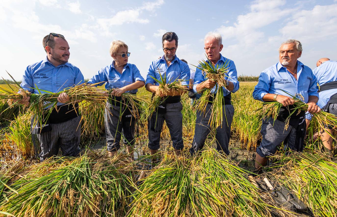 Los mejores chefs de la Comunitat Valenciana cambian los cuchillos por la corbella